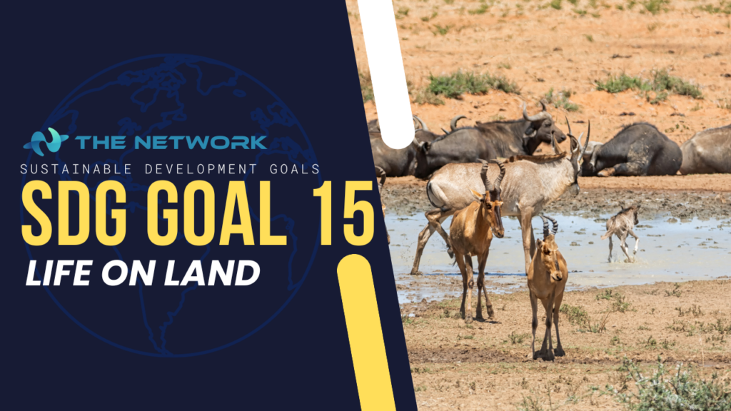 Sustainable Development Goal 15 - Life on Land - The Network