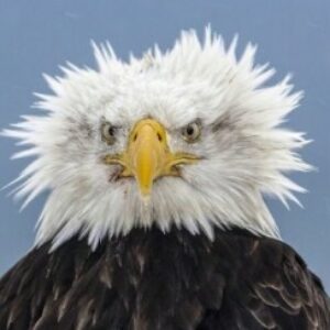 Profile photo of Christine Worden